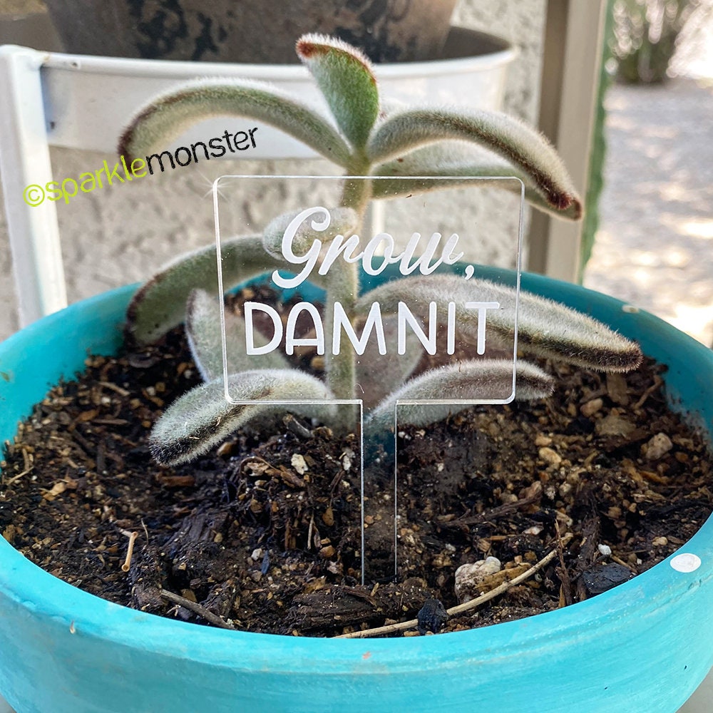 Grow, Damnit - plant pick set, clear laser cut acrylic, funny, party Thyme, what the fucculent, garden signs, succulents, house plant