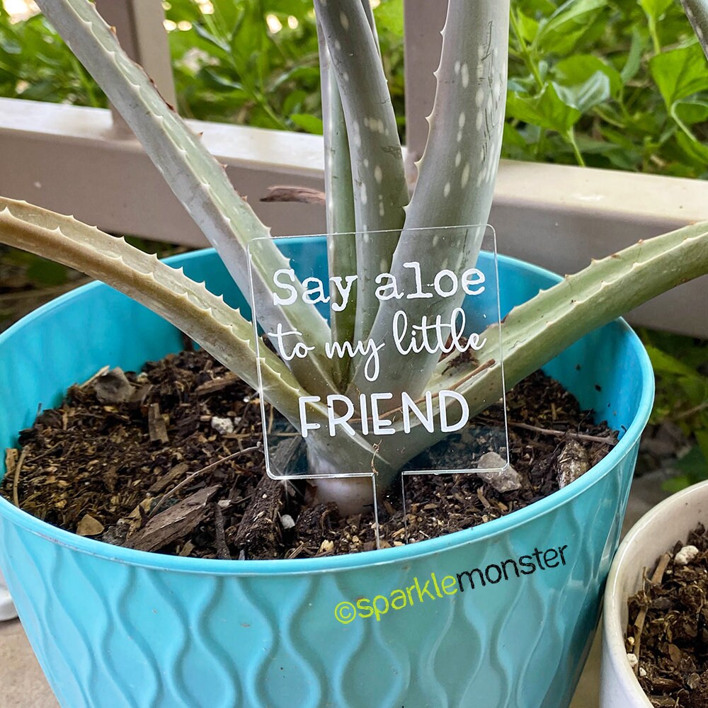 Say Aloe to My Little Friend - plant pick set, clear laser cut acrylic, funny, garden signs, succulents, house plant, cute gift