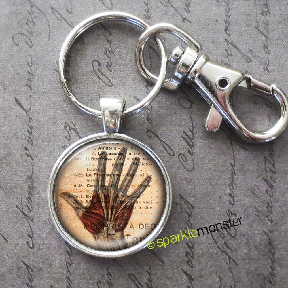Anatomical Hand, 25mm glass tile keychain, silver, large swivel lobster claw, medical, muscles